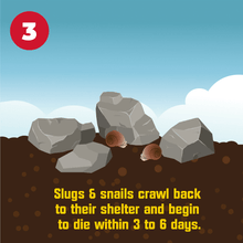 Cargar imagen en el visor de la galería, Insecticida Cebo Elimina Babosas y Caracoles 793g 3 Pack