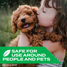 Cargar imagen en el visor de la galería, Insecticida En Aerosol STEM Mata Moscas Mosquitos 340g 2Pack