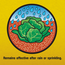 Cargar imagen en el visor de la galería, Insecticida Cebo Elimina Babosas y Caracoles 793g 3 Pack