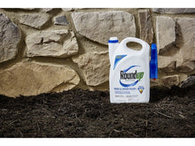 Cargar imagen en el visor de la galería, Roundup Eliminador De Malezas Y Césped 3.78l