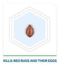 Cargar imagen en el visor de la galería, Raid Max Bed Bug Protección Extendida, Mata Chinches