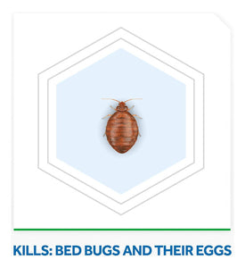 Raid Max Bed Bug Protección Extendida, Mata Chinches