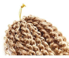 Cargar imagen en el visor de la galería, 6 Trenzas Marlybob Crochet Hair Afro Kinky Curly Crochet Rb