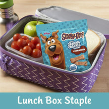 Cargar imagen en el visor de la galería, Scooby Doo Graham Cracker Cinnamon 12 Packs 3 Cajas