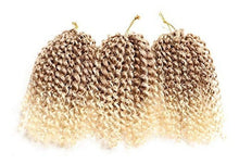 Cargar imagen en el visor de la galería, 6 Trenzas Marlybob Crochet Hair Afro Kinky Curly Crochet Rb