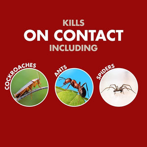 Spectracide - Bug Stop Control Insectos Domésticos 1 Galon