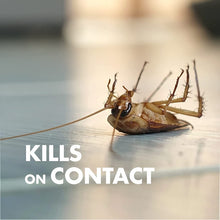 Cargar imagen en el visor de la galería, Spectracide - Bug Stop Control Insectos Domésticos 1 Galon